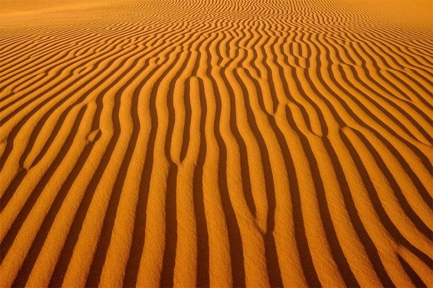 national-geographic-photo-contest-2015-martin-l