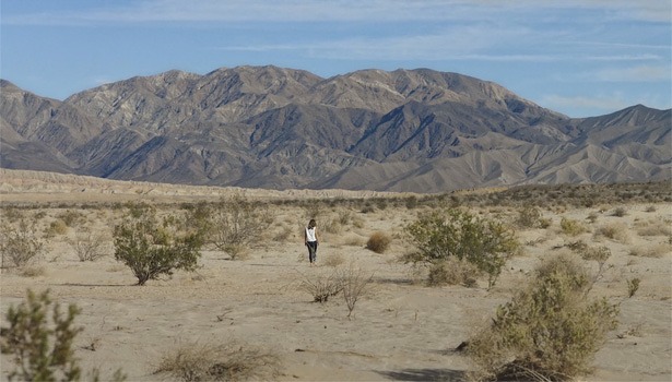 yoga-615x350-california-arizona